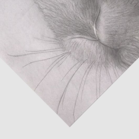 Rabbit Art Tissue Papers Seidenpapier (Detail)