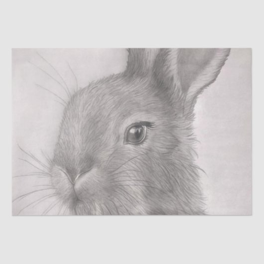 Rabbit Art Tissue Papers Seidenpapier (Vorderseite)