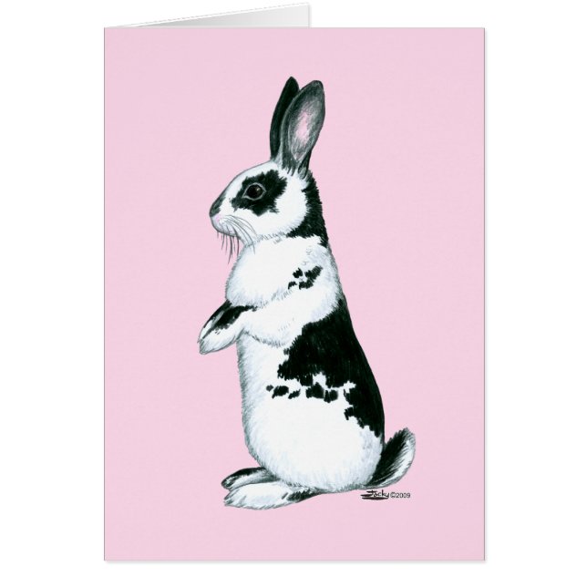 Rabbit:  Black and White (Vorne)