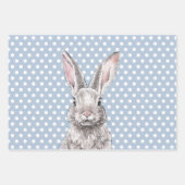 Rabbit Bunny Happy Ostereier Süße Tier Pastel Geschenkpapier Set (Vorderseite)