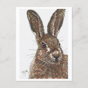 Rabbit Bunny Hare Postcard Postkarte