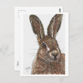 Rabbit Bunny Hare Postcard Postkarte (Vorne/Hinten)