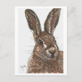 Rabbit Bunny Hare Postcard Postkarte (Vorderseite)