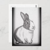 Rabbit Bunny White Fluffy Schwanz Long Oars Postca Postkarte (Vorne/Hinten)
