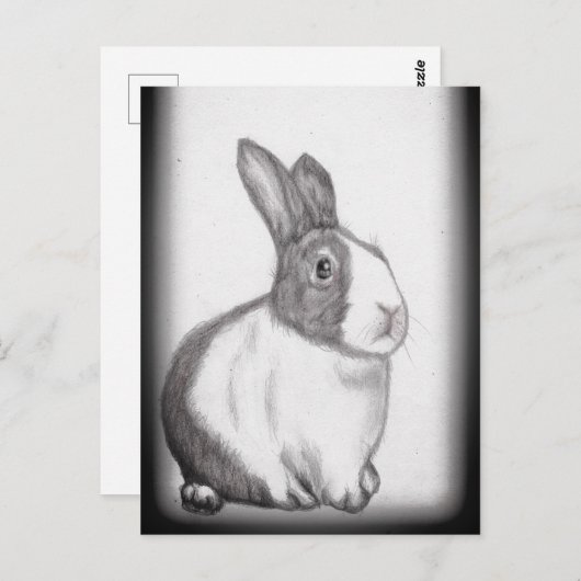 Rabbit Bunny White Fluffy Schwanz Long Oars Postca Postkarte (Vorne/Hinten)