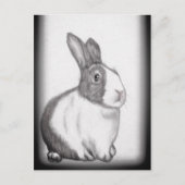 Rabbit Bunny White Fluffy Schwanz Long Oars Postca Postkarte (Vorderseite)