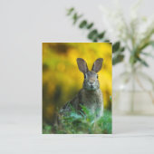 Rabbit Bunny Wildlife Forest Postkarte (Stehend Vorderseite)