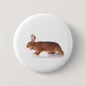 rabbit button (Vorderseite)