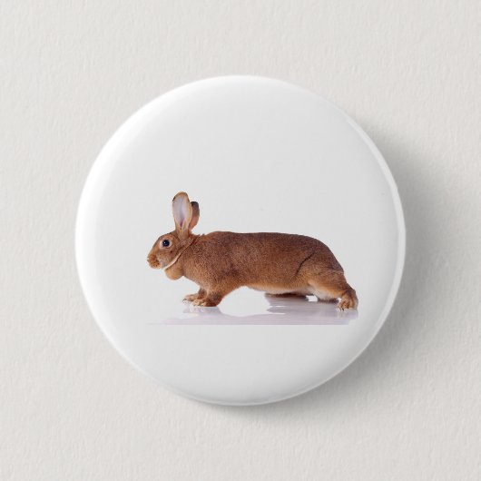 rabbit button (Vorderseite)
