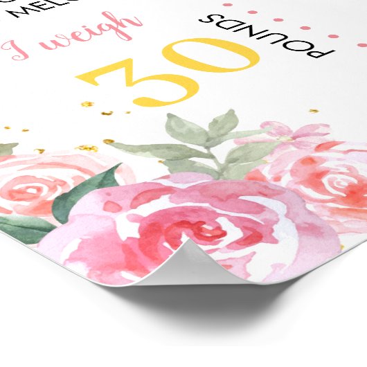 Rabbit First Birthday Party Meilenstein Poster (Ecke)