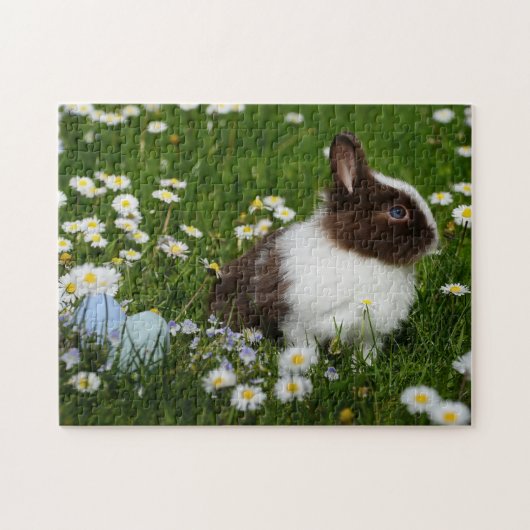 Rabbit Fotografie Best Wildlife Fotos Puzzle (Horizontal)