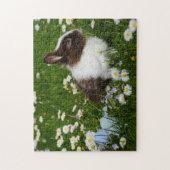 Rabbit Fotografie Best Wildlife Fotos Puzzle (Vertikal)