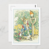 Rabbit Garden Carroons von Beatrix Potter Postcard Postkarte (Vorne/Hinten)