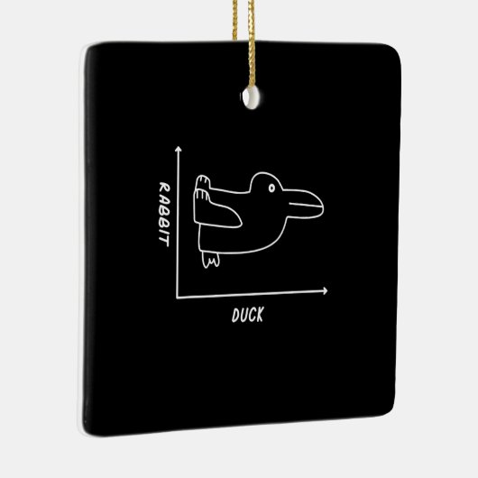 Rabbit-Geschenk | Duck Rabbit Graph Fun Math Lehre Keramikornament (Rechts)