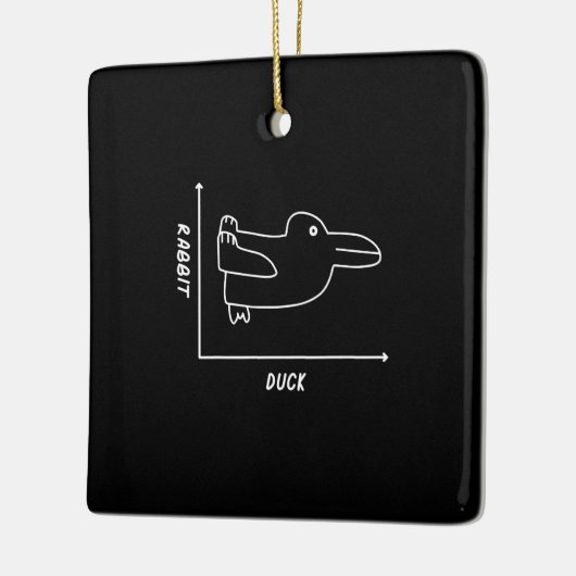 Rabbit-Geschenk | Duck Rabbit Graph Fun Math Lehre Keramikornament (Links)