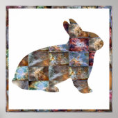 RABBIT: Grafikdesign Poster (Vorne)