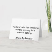 Rabbit Holiday Card Feiertagskarte (Rückseite)