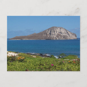 Rabbit Island Oahu Hawaii Postkarte