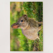 Rabbit Jigsaw Puzzle (Vertikal)