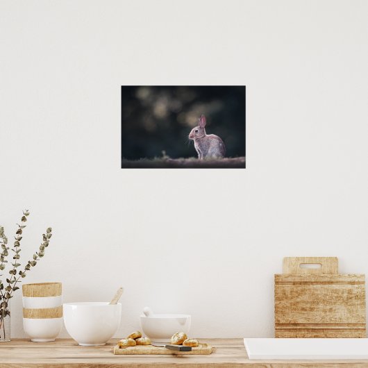 Rabbit Natur Foto Poster (Küche)
