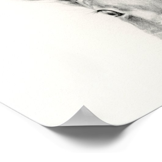 Rabbit Pencil Drawing Poster (Ecke)