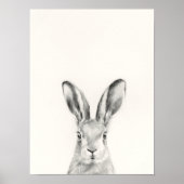 Rabbit Pencil Drawing Poster (Vorne)