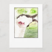 Rabbit Pet Selfie - DNM Postkarten (Vorderseite)