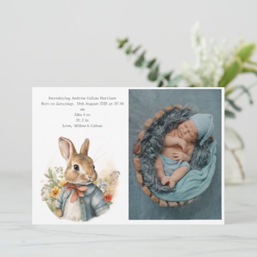 Rabbit Peter (Stehend Vorderseite)