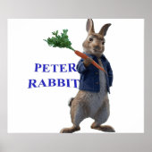 Rabbit Peter Poster (Vorne)