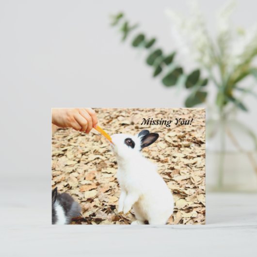 Rabbit Postcard Postkarte (Stehend Vorderseite)