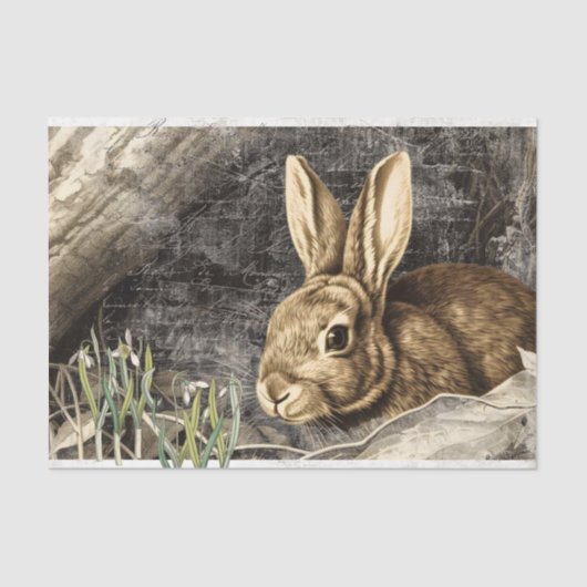 Rabbit Snowdrop Blume Frühjahr Französisch Drehkre Seidenpapier (Vorderseite)