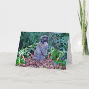 Rabbit-Urlaubskarte Feiertagskarte