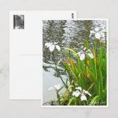 Rabbitear Iris Postkarte (Vorne/Hinten)