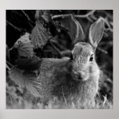 RabbitMono Poster (Vorne)