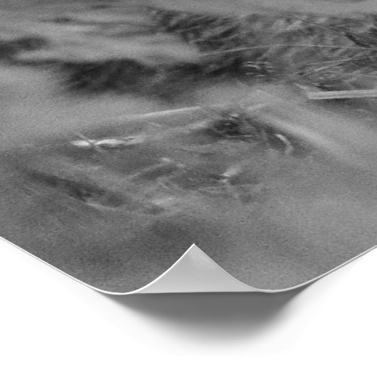 RabbitMono Poster (Ecke)