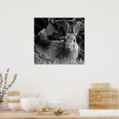 RabbitMono Poster (Küche)