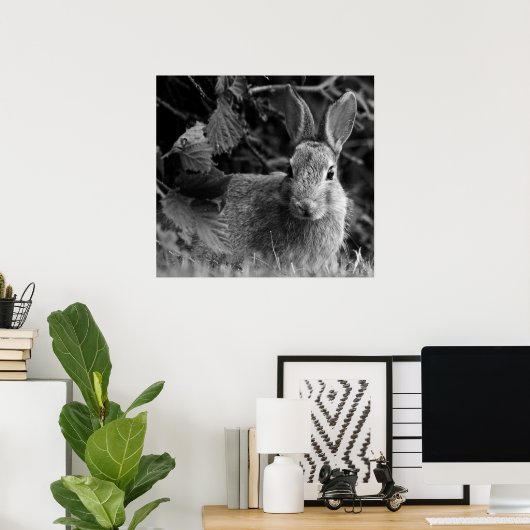 RabbitMono Poster (Heimbüro)