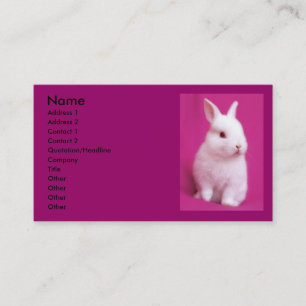 Rabbitt Visitenkarte