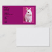 Rabbitt Visitenkarte (Vorne/Hinten)