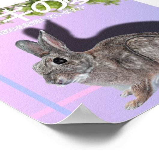 Rabbitwave 2.0 Poster (Ecke)