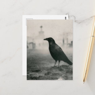 Rabe auf dem Friedhof im Vintage-Stil Postkarte
