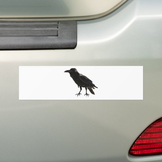 Rabe Autoaufkleber (Auf Auto)