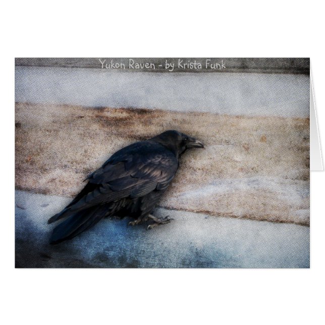 Rabe, der Streifen läuft (Vorderseite (Horizontal))