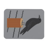 Rabe Magnet (Horizontal)
