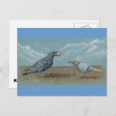 Rabe mit Ei belästigt durch Pigeon Postcard Postkarte (Vorne/Hinten)