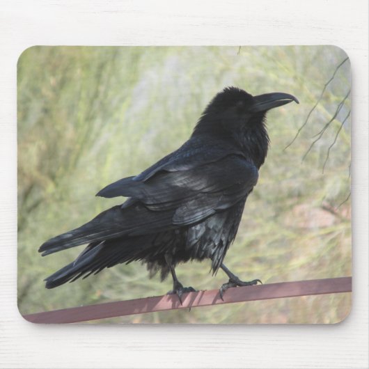 Rabe Mousepad (Vorne)