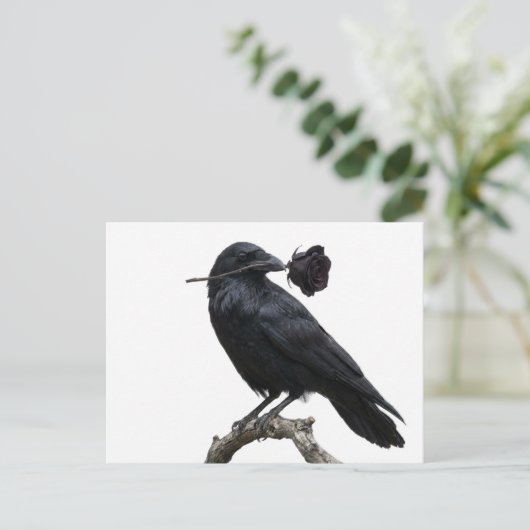 Rabe Postkarte (Stehend Vorderseite)