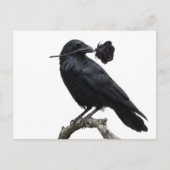 Rabe Postkarte (Vorderseite)