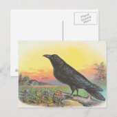 Rabe Postkarte (Vorne/Hinten)