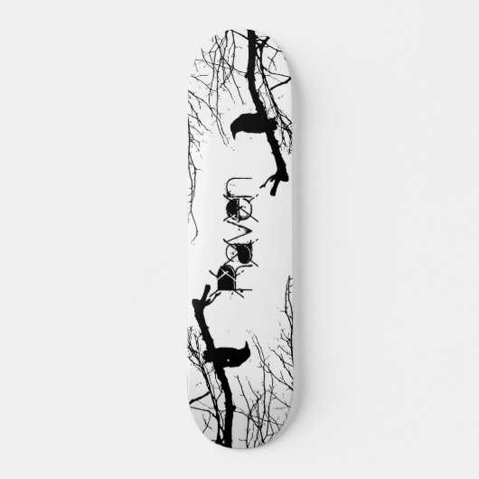 Rabe Skateboard (Vorne)